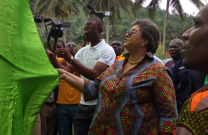 Ayensu Starch Factory bounces back